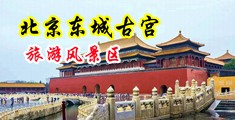 www.黄色高潮中国北京-东城古宫旅游风景区